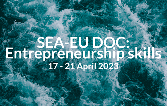 IMG Entrepreneurship Skills: intensive course for PhD students by SEA-EU DOC
