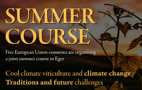 Curso de verano “Cool climate viticulture and climate change. Traditions and future challenges”