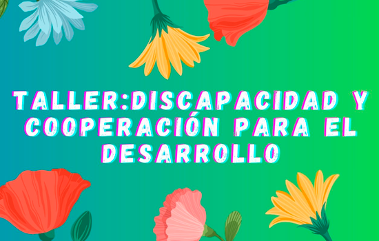 Taller “Discapacidad y Cooperación para el Desarrollo”