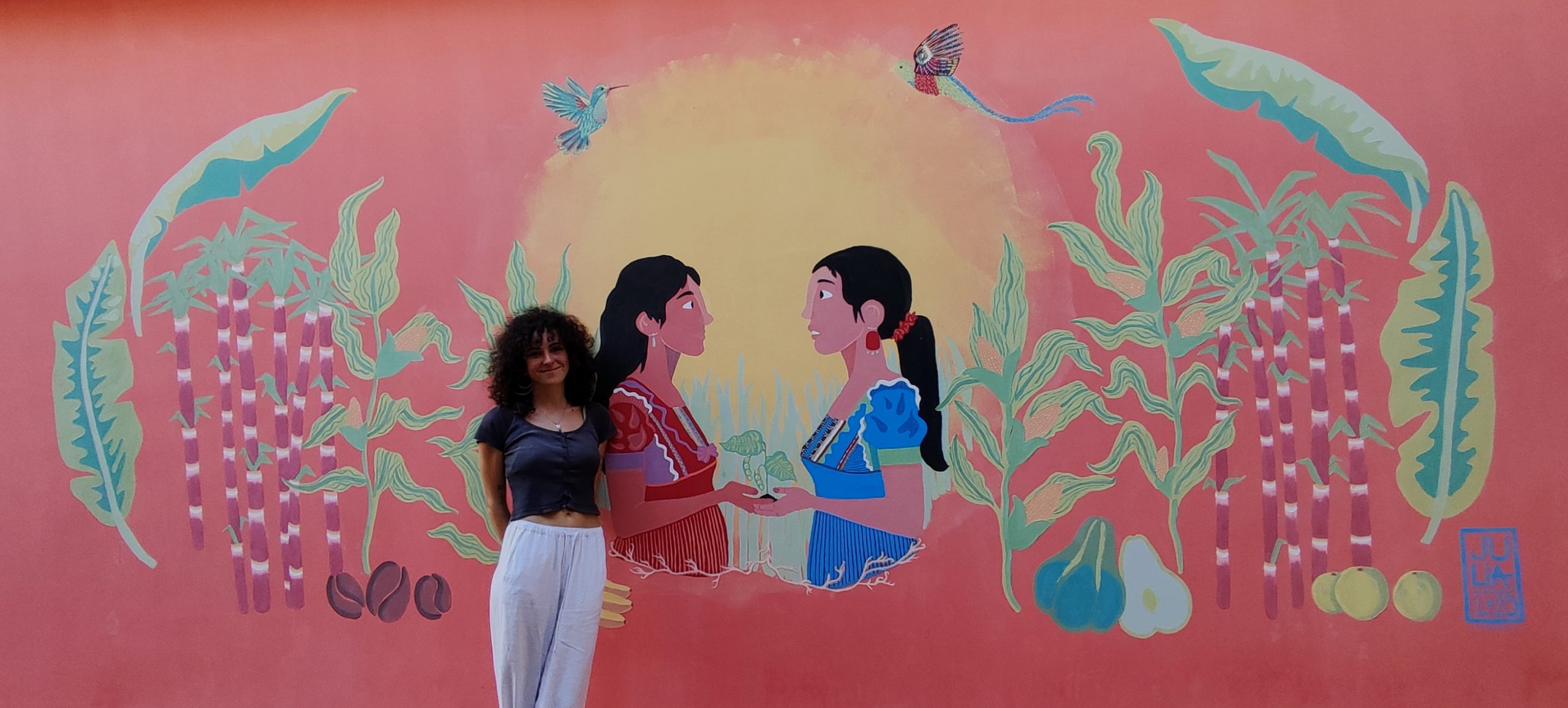 El Vicerrectorado de Internacionalización lanza el Programa General de Voluntariado Internacional Universidad de Cádiz-Becas Santander 2026